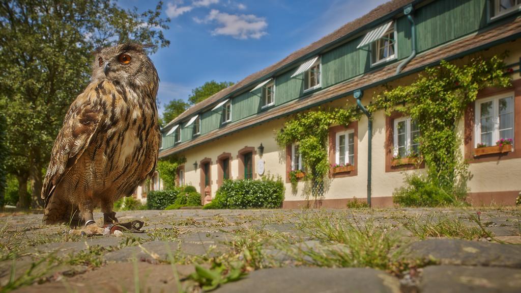 Der Linslerhof - Hotel, Restaurant, Events & Natur Überherrn Екстериор снимка